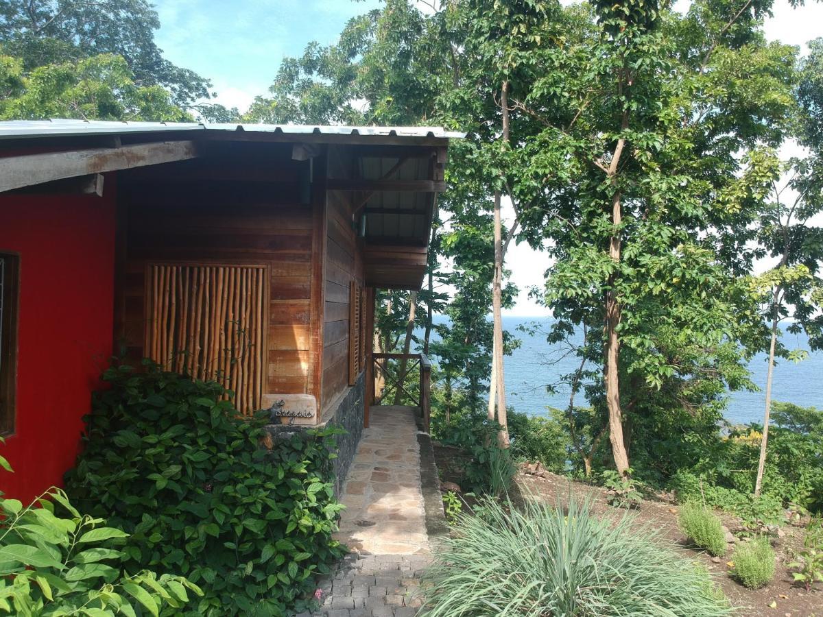 Mucumbli Vila Ponta Figo Exterior foto