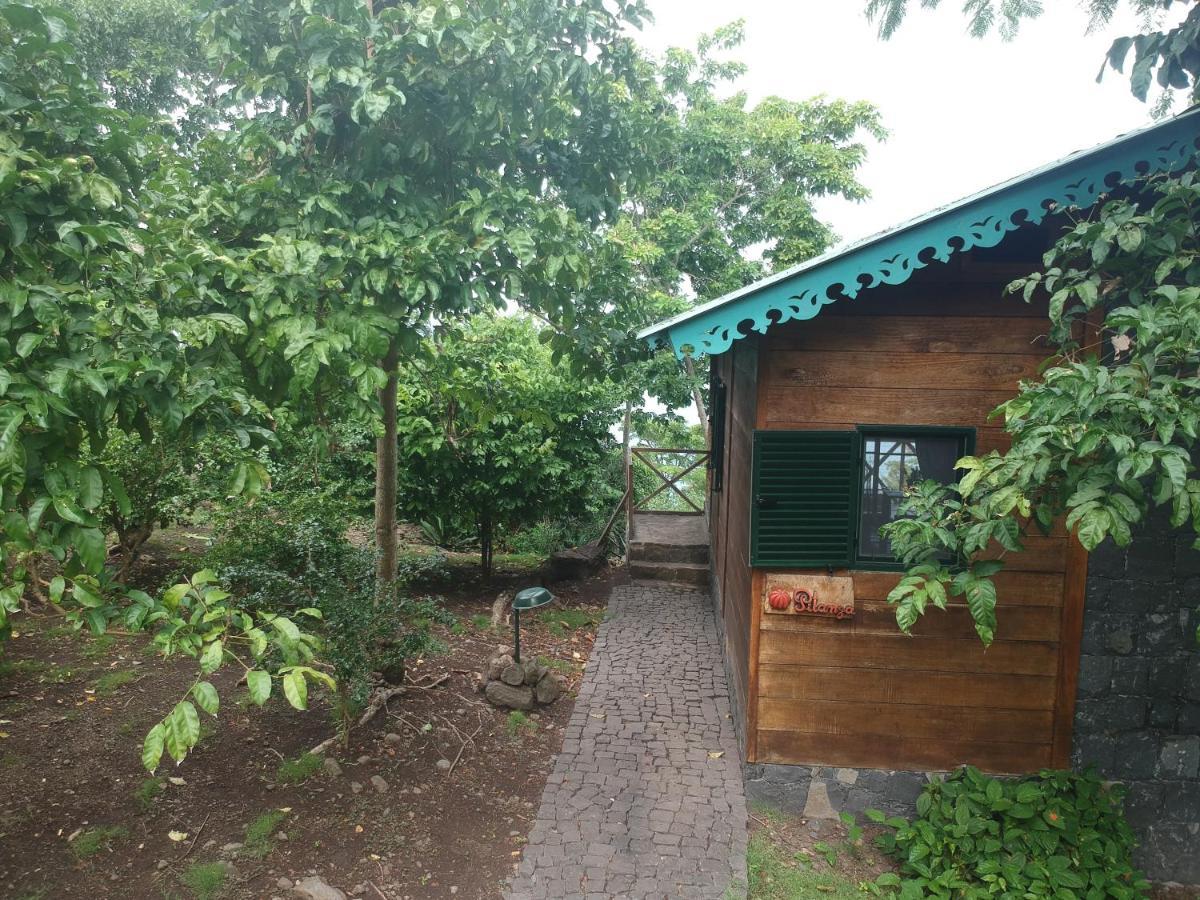 Mucumbli Vila Ponta Figo Exterior foto